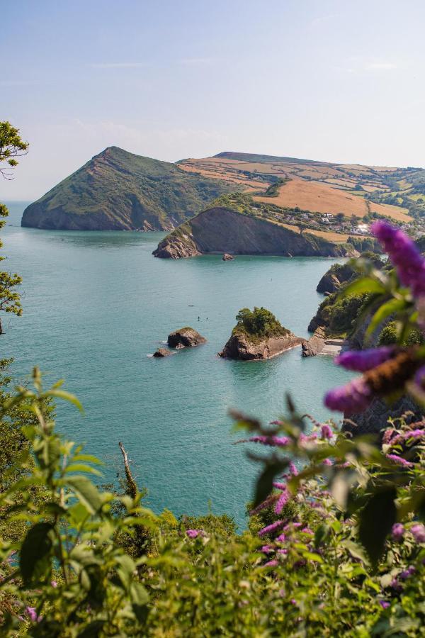 Sandy Cove Hotel Ilfracombe Esterno foto